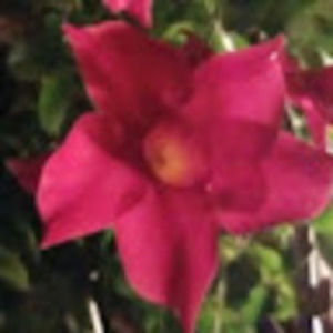 Meet your Posher, Jesus